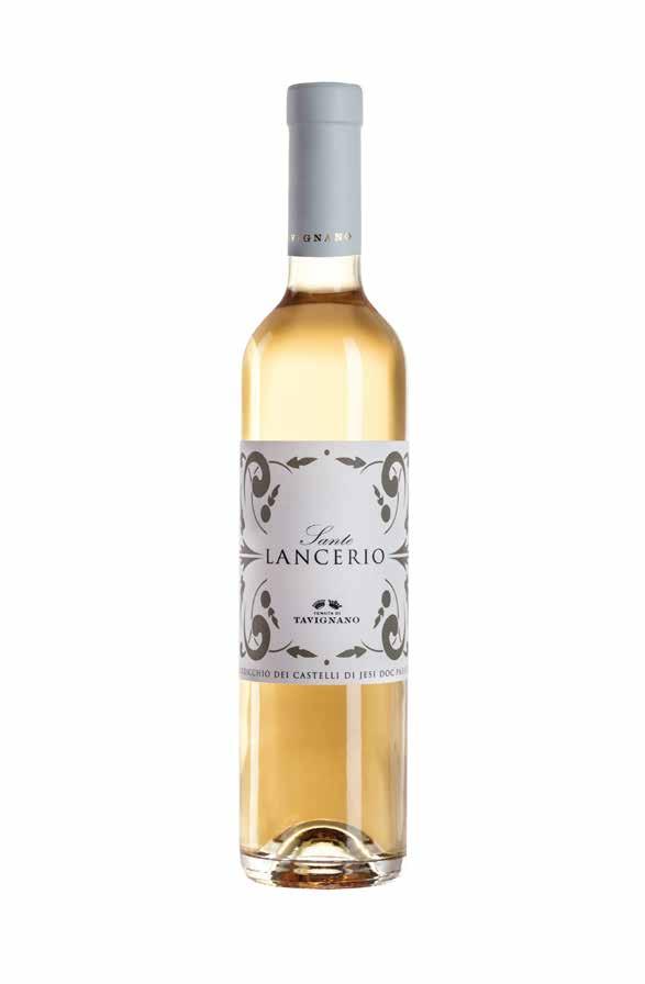 Sante Lancerio 2015 Verdicchio dei Castelli di Jesi DOC Passito 2 ettari Colline in leggero pendio con esposizione Sud - Ovest Verdicchio 100% Cordone speronato 40 q.