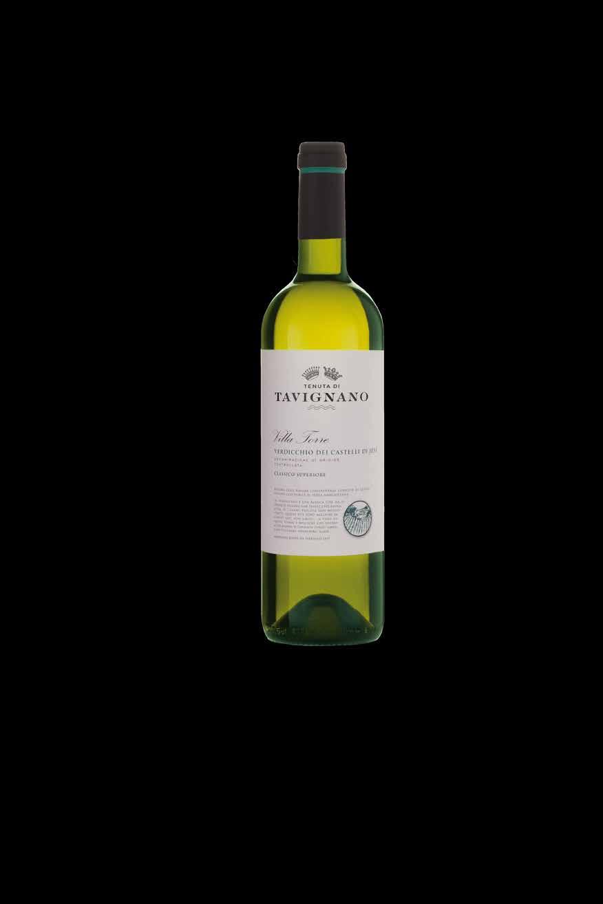 Villa Torre 2017 Verdicchio dei Castelli di Jesi DOC Classico Superiore 6 ettari Colline in leggero pendio con esposizione Sud - Est Verdicchio 100% Guyot 90 q.