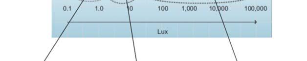 Per la visione scotopica, la massima sensibilità si sposta a 505 nm verso il verde.