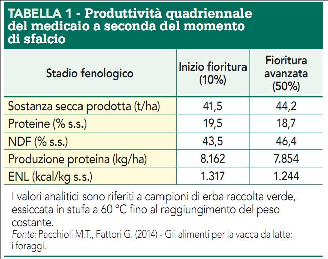 Erba medica: