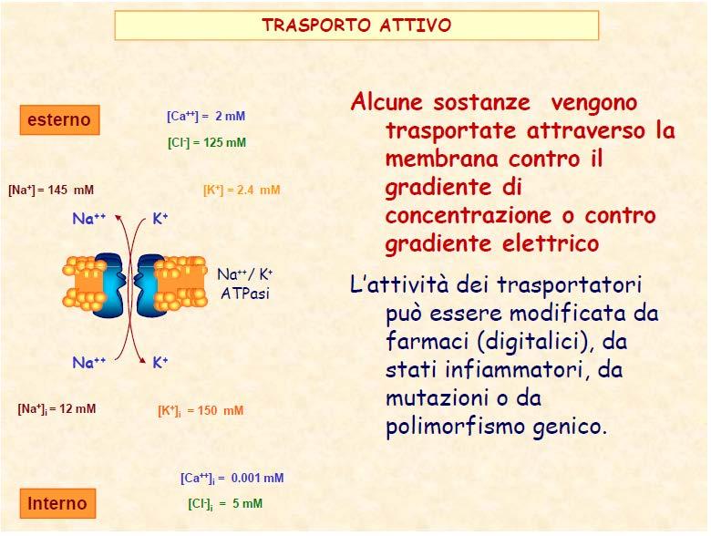 Diffusione mediata da