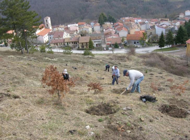 I campi sperimentali Il progetto nel suo complesso prevede la realizzazione di campi sperimentali distribuiti sull intero territorio regionale, in