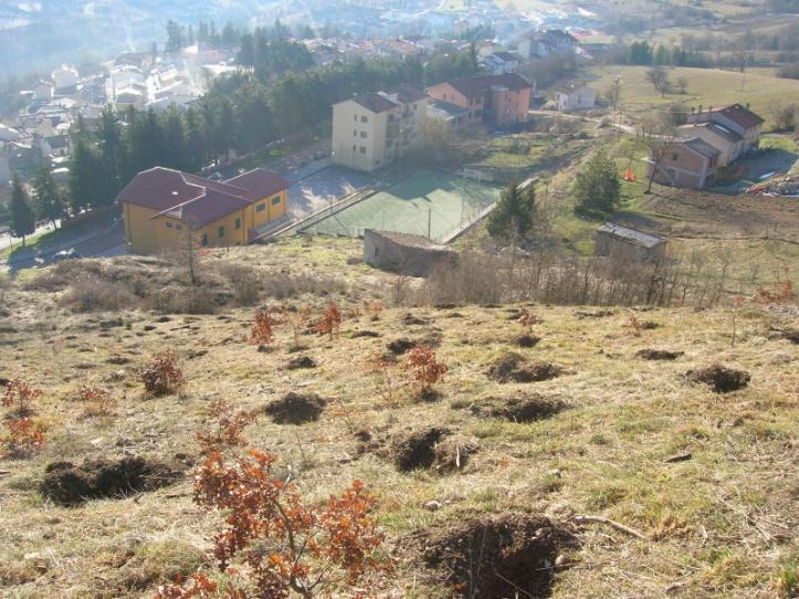 Un impianto è stato realizzato a San Pietro Avellana (IS) nel 2010 di circa 3000 mq.