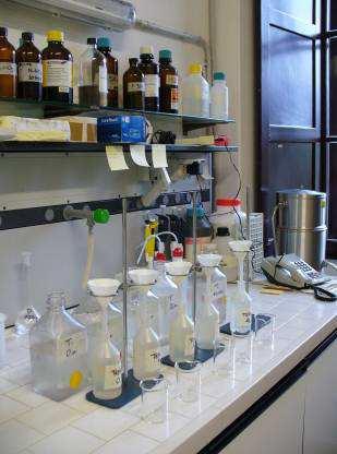Le analisi chimiche Parametri chimico-fisici di base Nutrienti (azoto e fosforo) ph Ossigeno disciolto Sostanze