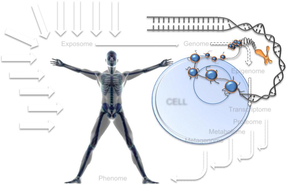 A future direction in nutritional epidemiologic research Figure 1dThe future of research on stratified diabetes medicine: a systems epidemiology approach to the discovery of interactions between the