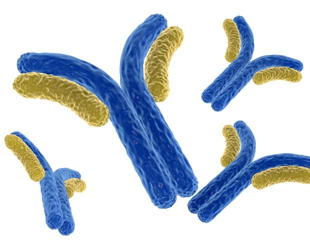 I Vaccini Funzionano Perché Inducono una Risposta Immunitaria Mediata da Anticorpi Specifici in Grado di Neutralizzare il Patogeno v Inoculando componenti del patogeno o il patogeno intero inattivato