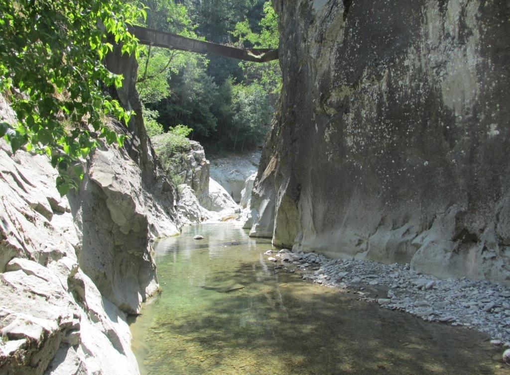 Predisposizione, a livello sperimentale, del Programma generale di gestione dei sedimenti sul bacino del F. Parma (Distretto del F.