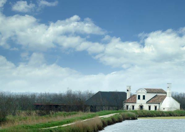 Info e preno (obbligatoria): Museo delle Valli di Argenta 0532 808058. 11 APRILE binocolo, traghetto sul fiume Reno e guida). Ritrovo presso il Museo NatuRa, Sant Alberto (RA).