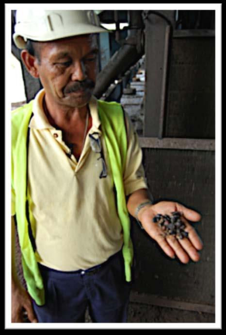 Perchè è importante la certificazione RSPO? Perchè.