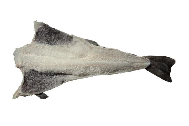 SALINATI Baccalà con Spina MACROCEPHALUS MORHUA