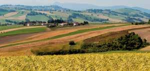 Vantaggi per i Soci Stampa: Tipografia LAME - Castel Maggiore (BO) - 2018 Nei supermercati di Coop Reno.