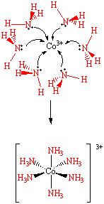 I composti di coordinazione Richiami di Chimica - Acidi e Basi di Lewis Metalli Leganti acidi di Lewis basi di Lewis
