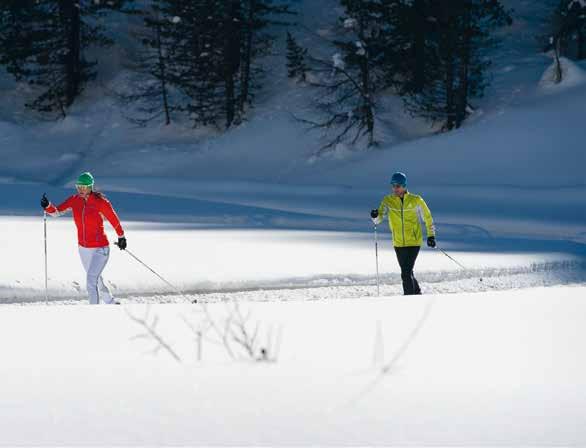 13 Biglietto sci di fondo in Val Venosta Scivolare in un mondo innevato: Stile classico o skating, con circa 109 chilometri di piste il divertimento è garantito per tutti gli amanti dello sci di