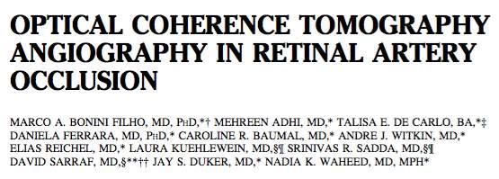 E' stato descritto il microcircolo retinico in occhi con RAO (nonarteritic retinal artery