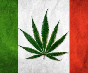 In base al DM del 9/11/2015 la prescrizione di Cannabis ad uso medico in Italia riguarda: - Dolore cronico e di quello associato a Sclerosi Multipla e a lesioni del midollo spinale - Nausea e vomito