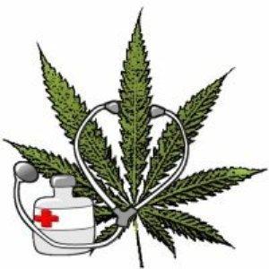 Per concludere La Cannabis Terapeutica è legale ma deve essere prescritta e seguire procedure ben definite L Epilessia NON è tra le patologie