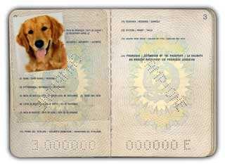 8. PASSAPORTO Dal 1 ottobre 2004 i proprietari di cani, gatti e furetti che vogliano viaggiare col proprio animale in uno dei 25 Stati Membri dell'unione Europea, devono munirsi di apposito