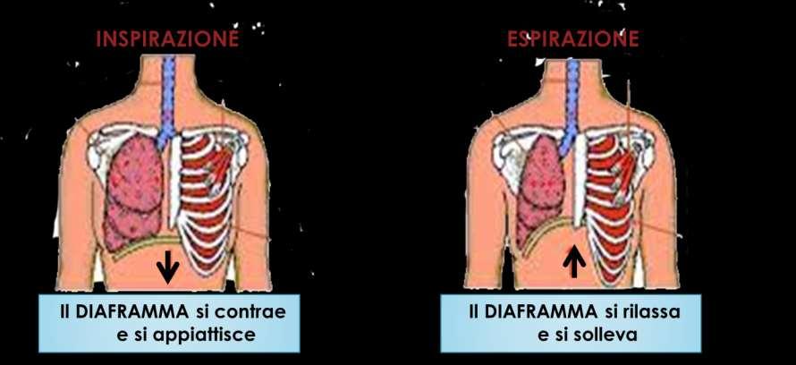 MECCANICA