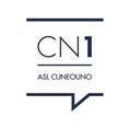 CN1 AGGIUDICAZIONE MEDIANTE PROCEDURA NEGOZIATA A DITTE DIVERSE SINO AL 31/12/2017 IMPORTO COMPLESSIVO EURO 1.011.000,00 IVA COMPRESA.