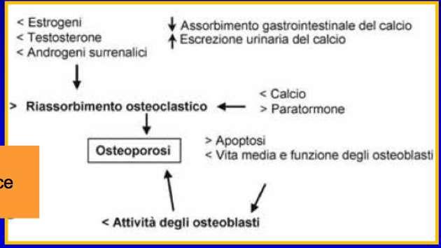 Indubbio ruolo della