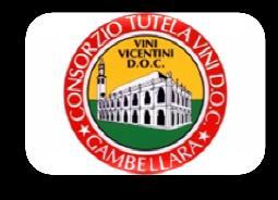 vitivinicolo e