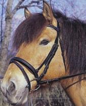 321718 Pony svedese marrone 1/25 321719 Purosangue