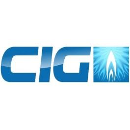 CIG Comitato Italiano Gas UNSIDER Ente