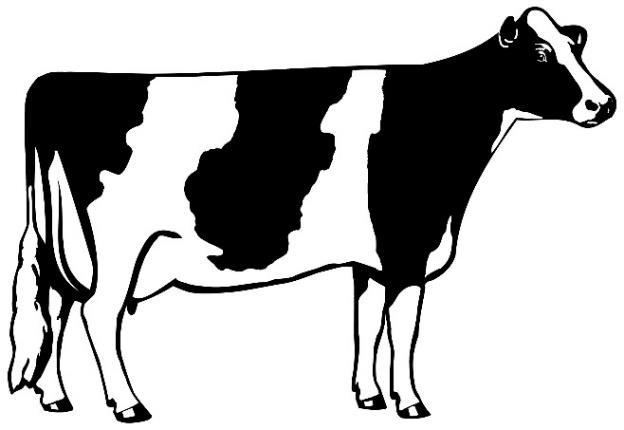 Meno N al suolo e per kg latte dalle vacche più produttive 40 kg latte/d 20 kg latte/d 20 kg latte/d 99