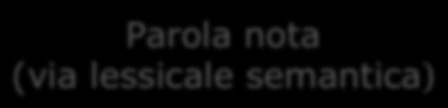 udita Parola sconosciuta (via fonologica) Lessico grafemico