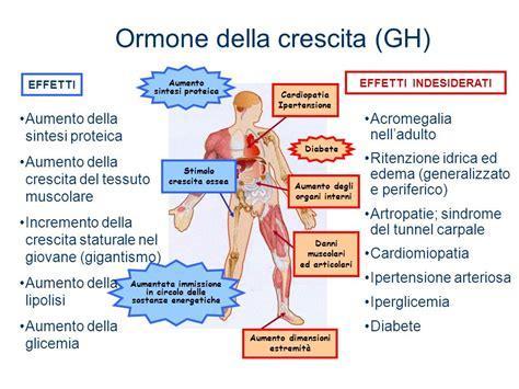 Effetti anabolici dell ormone della crescita