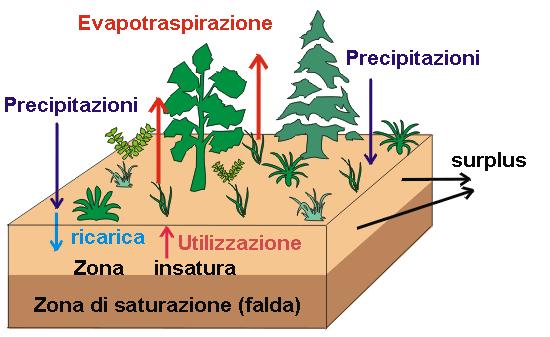 Il ciclo