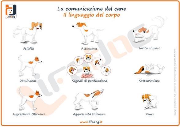 PREMESSA: OGNI CANE E DIFFERENTE!