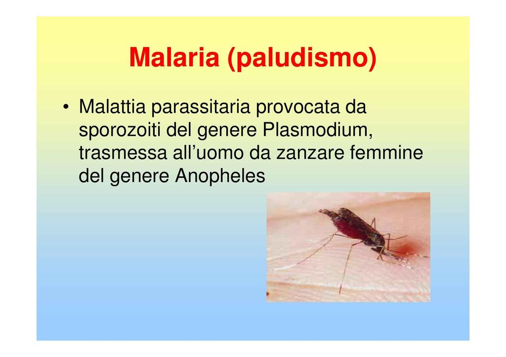MALARIA La MALARIA è una malattia infettiva dovuta ad un protozoo (che è un organismo del mondo animale costituito da un'unica cellula.