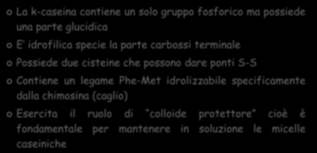 Caseina k La k-caseina contiene un solo gruppo fosforico ma possiede una parte glucidica E idrofilica specie la parte carbossi terminale Possiede due cisteine che possono dare ponti S-S Contiene un