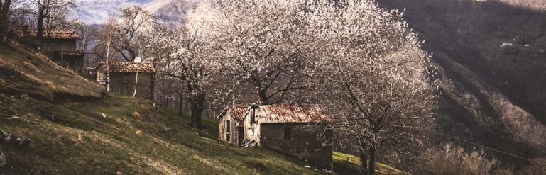 21 MARZO - 20 GIUGNO Lunedì Respiro di vita Escursione botanico/naturalistica Immergiti nel risveglio della natura con le sue molteplici espressioni botaniche.