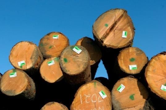 Le principali cause della deforestazione sono: 1) Legname come combustibile un terzo della popolazione mondiale è costretto ad utilizzare il legname come combustibile per riscaldare le abitazioni o
