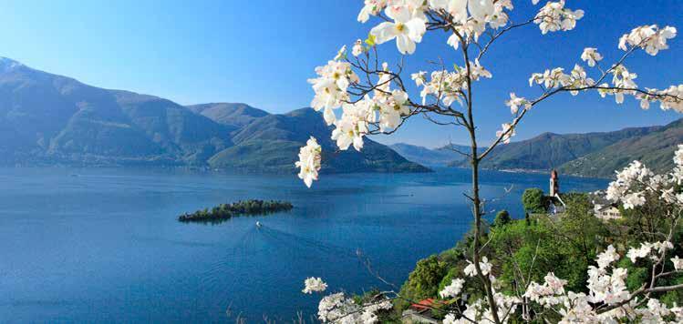 INSUBRIA 3 LAGHI 2 STATI 1 REGIONE A volte le cose più belle sfuggono al nostro sguardo. Le cerchiamo lontano.