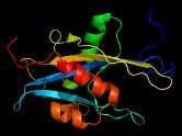 MAP (MutYH Associated Polyposis) Genotipo mutazione nel gene MutYH: crom 1p34.3-p32.