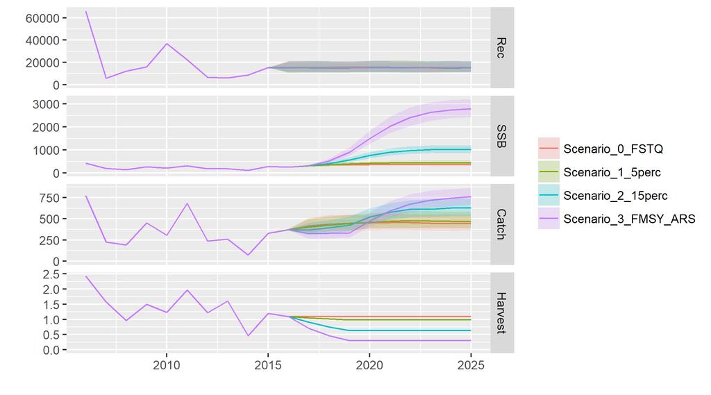 F Raggiungimento FMSY ARS 847 115 0,20 Nasello (Merluccius merluccius) GSA 11 Lo scenario 3, ovvero il raggiungimento dell FMSY del gambero rosso nel 2020, comporterebbe una riduzione della mortalità