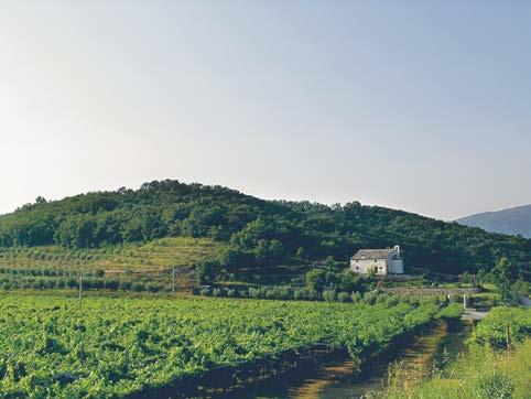 PROVINCIA DI SUOLI - GG Anfiteatri morenici pleistocenici costituiti da lunghe e arcuate colline, intervallate da depositi fluvioglaciali e fluviali. mm 2 2 1 1 GEN FEB MAR APR MAG GIU LUG Fig. 6GG.