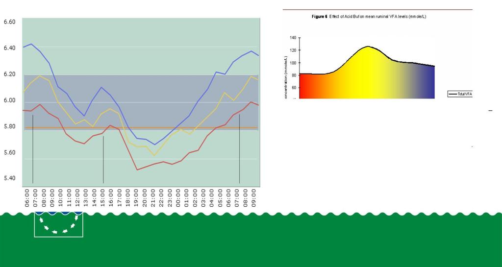 Aumentare la dose di Acid Buf previene il rischio di SARA ma un eccesso può fare aumentare il ph e ridurre l efficienza ruminale University of Stellenbosch