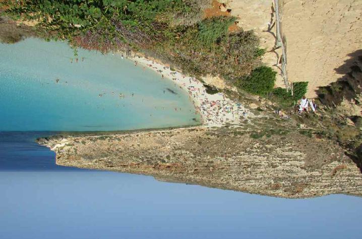 Nidificazione di Caretta caretta (Reptilia Cheloniidae) sull isola di Lampedusa 121 norme specifiche redatte in funzione delle esigenze ecologiche e comportamentali di Caretta caretta (divieto di