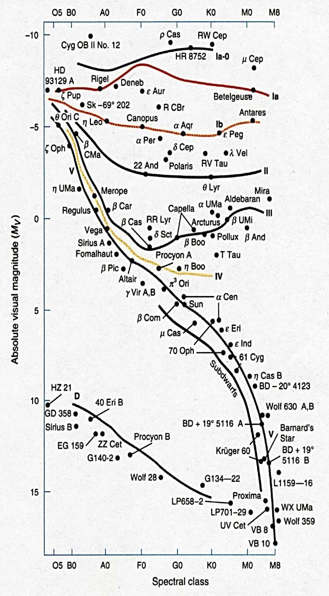 Il diagramma HR È un diagramma che ha sulle ascisse la classe spettrale (ovvero la temperatura superficiale) e sulle ordinate la magnitudine assoluta (ovvero la luminosità).