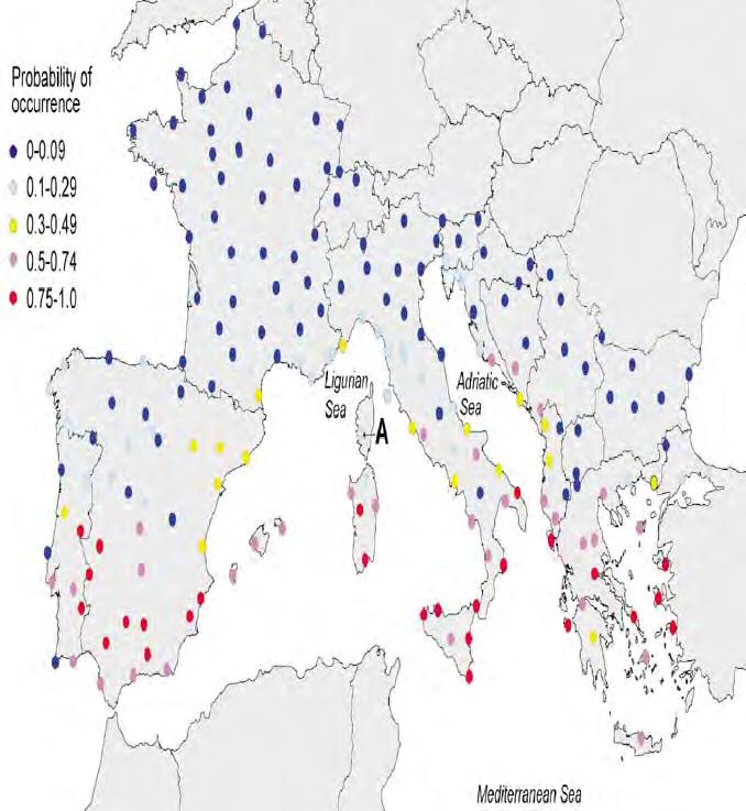 Probabilità di diffusione di C.