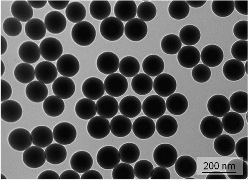 Nano-biotechnology Nanoparticles