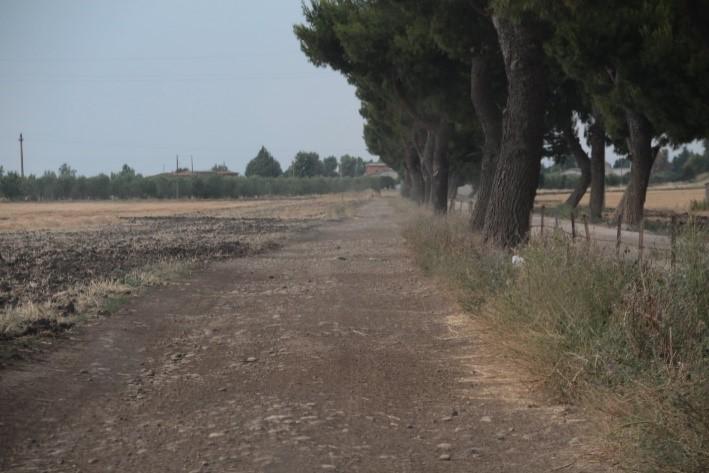 interessato unicamente dal passaggio del cavidotto interrato.