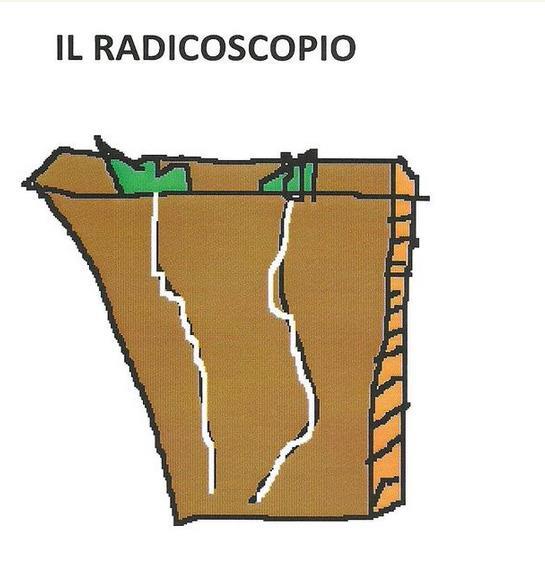 Il radicoscopio serve per vedere le radici che crescono sotto terra.