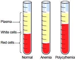 Il sangue contiene per il 40-45% una parte solida costituita dai globuli rossi (in grande maggioranza), dai globuli bianchi e dalle piastrine e una parte liquida (il plasma) che contiene proteine,