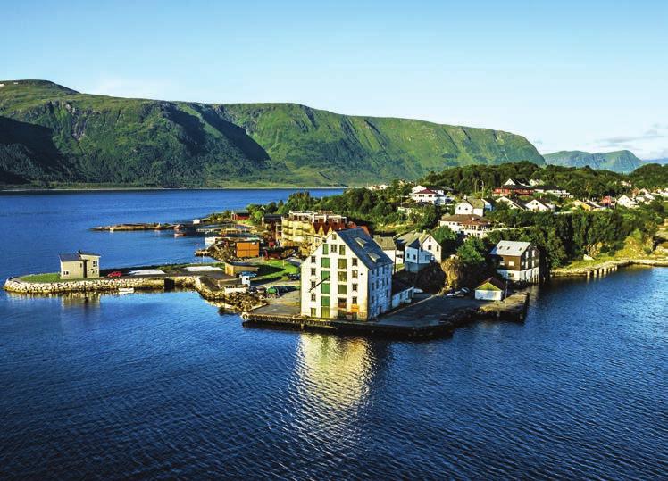 Sarà possibile ammirare il Palazzo Reale, il palazzo del Municipio e la fortezza medievale di Akershus.