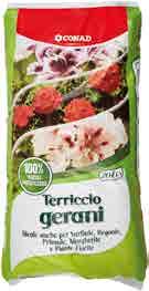 assortiti 2, 99 BULBI PRIMAVERILI